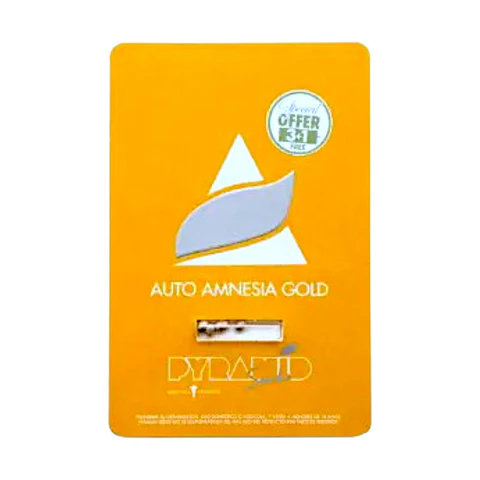 AUTO AMNESIA GOLD 3+1UDS PYRAMID SEEDS