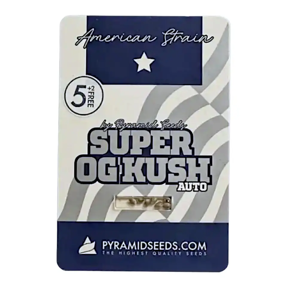 SUPER OG KUSH AUTO 3+1UDS PYRAMID SEEDS  1