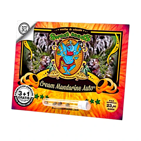 CREAM MANDARINE AUTO 3+1UDS SWEET SEEDS 