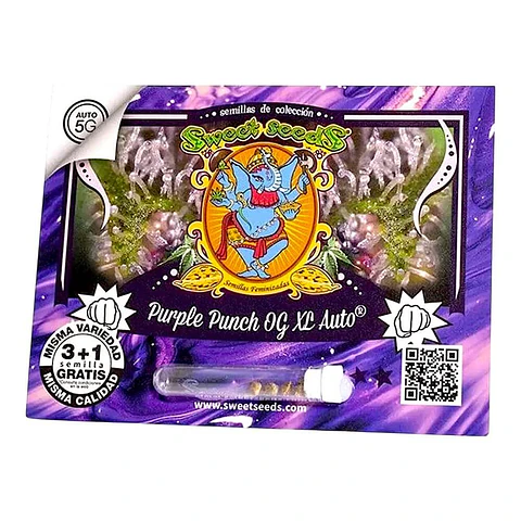 PURPLE PUNCH OG XL AUTO 3+1UDS SWEET SEEDS 