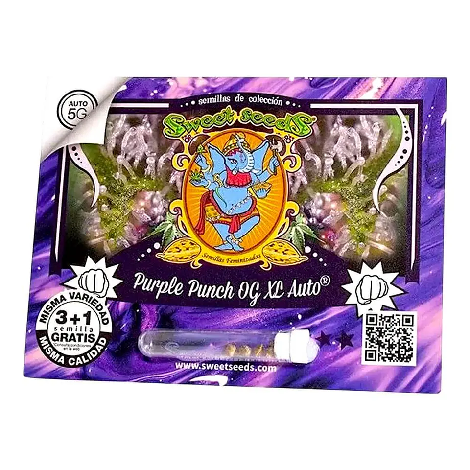 PURPLE PUNCH OG XL AUTO 3+1UDS SWEET SEEDS  1