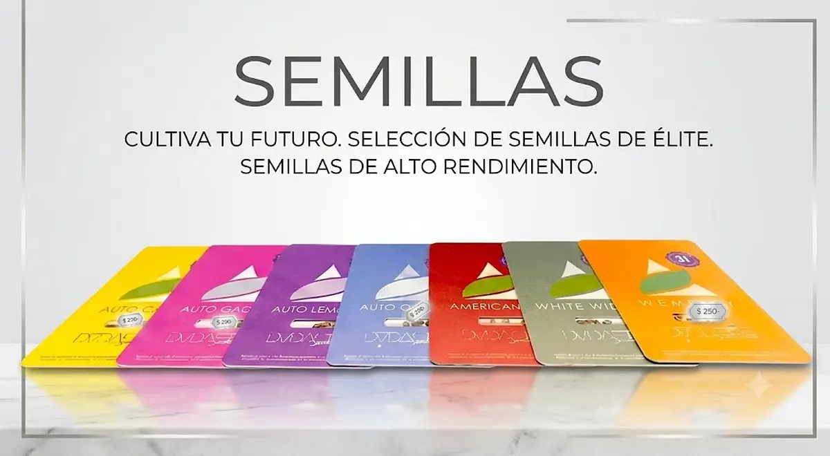Casa inteligente
