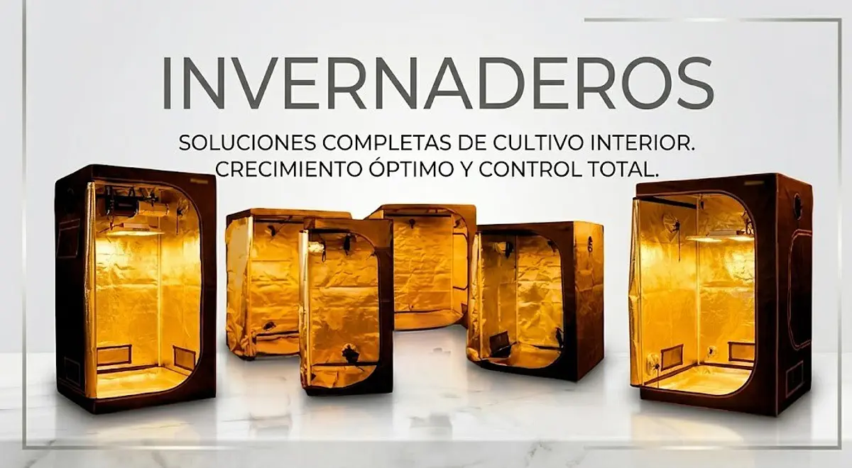 Título del banner