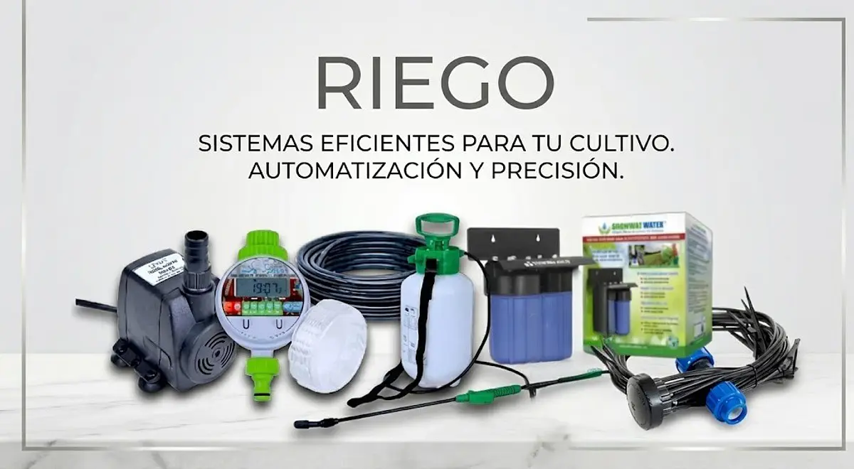 Título del banner