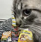 Comida Húmeda para Gato Adulto Leonardo Sabor Hígado 200g - Miniatura 3