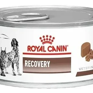 Royal Canin Recovery Perros Gatos 145g