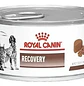 Royal Canin Recovery Perros Gatos 145g - Miniatura 1