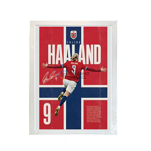 Cuadro Haaland 30x40 Cm