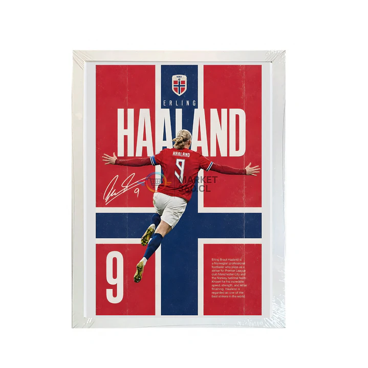 Cuadro Haaland 30x40 Cm 1