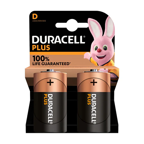Pilhas Duracell Plus 100 MN1300 D Bl2