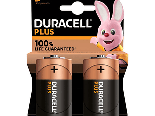 Pilhas Duracell Plus 100 MN1300 D Bl2