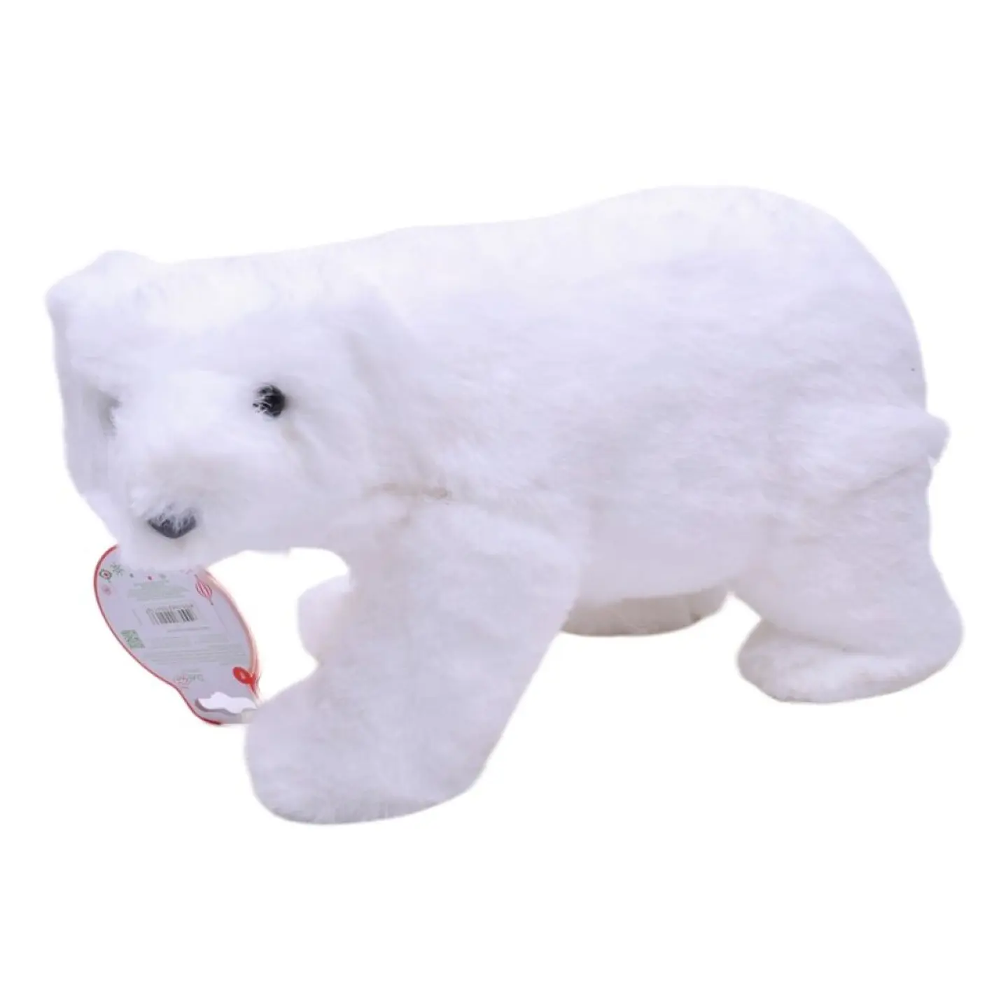URSO VELUDO 1