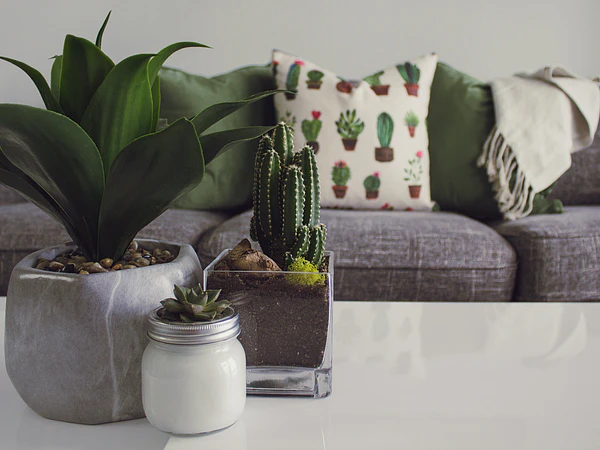 Decoração de Casa: Produtos Inspiradores e soluções de Iluminação 