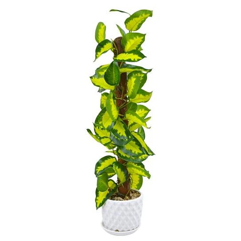 VASO ARTIFICIAL 10266