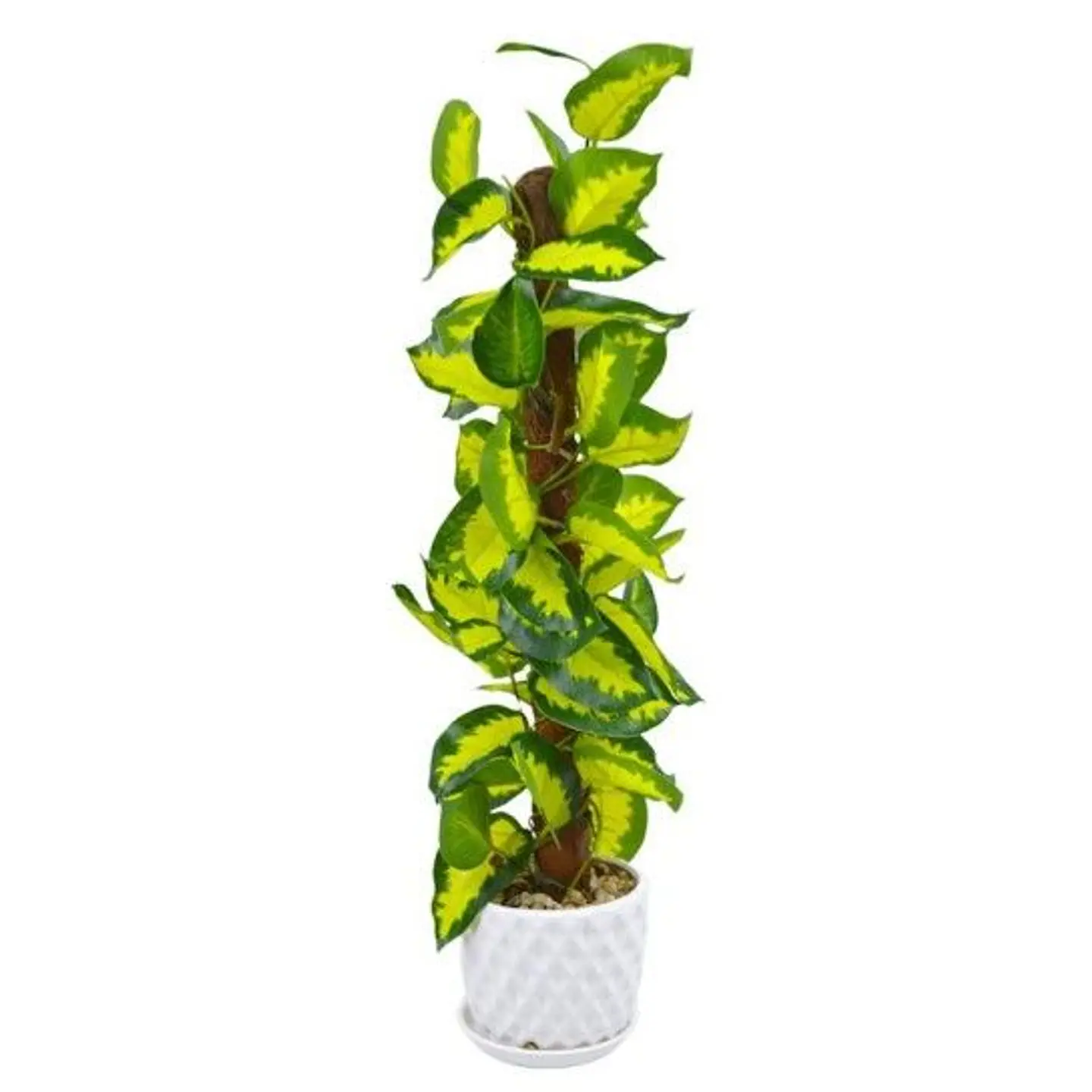 VASO ARTIFICIAL 10266 1