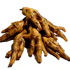 DogGo Patas de Pollo