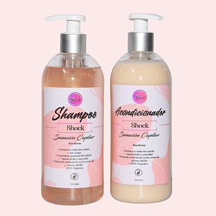 Kit shampoo y acondicionador sanación capilar (caida)  