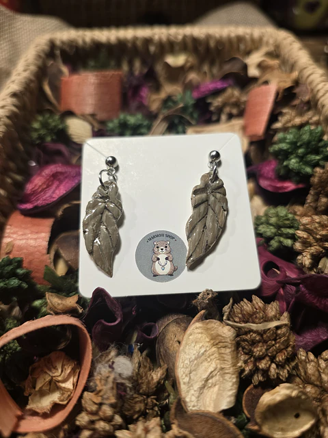 Pendientes pluma marrón 2