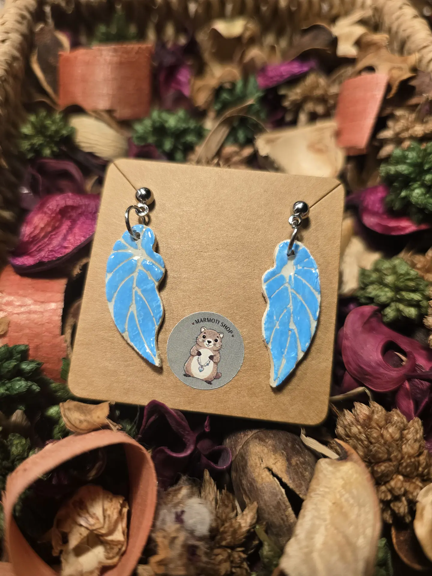 Pendientes Pluma Blu 1