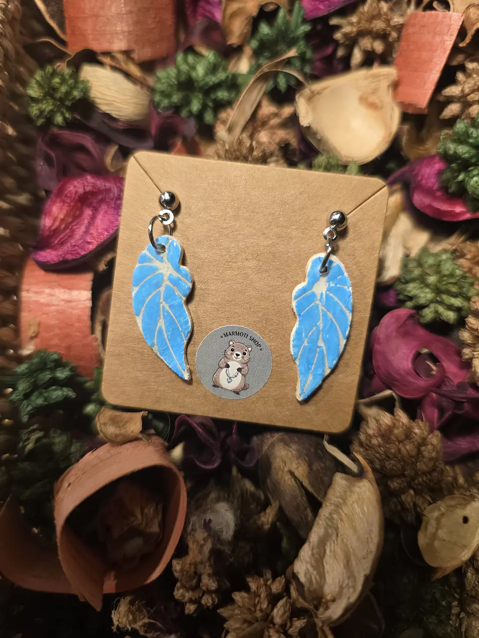 Pendientes Pluma Blu 2
