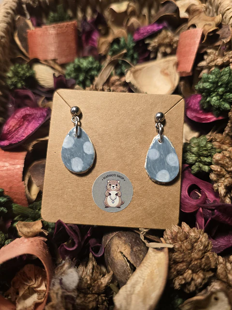 Pendientes Gota Punts