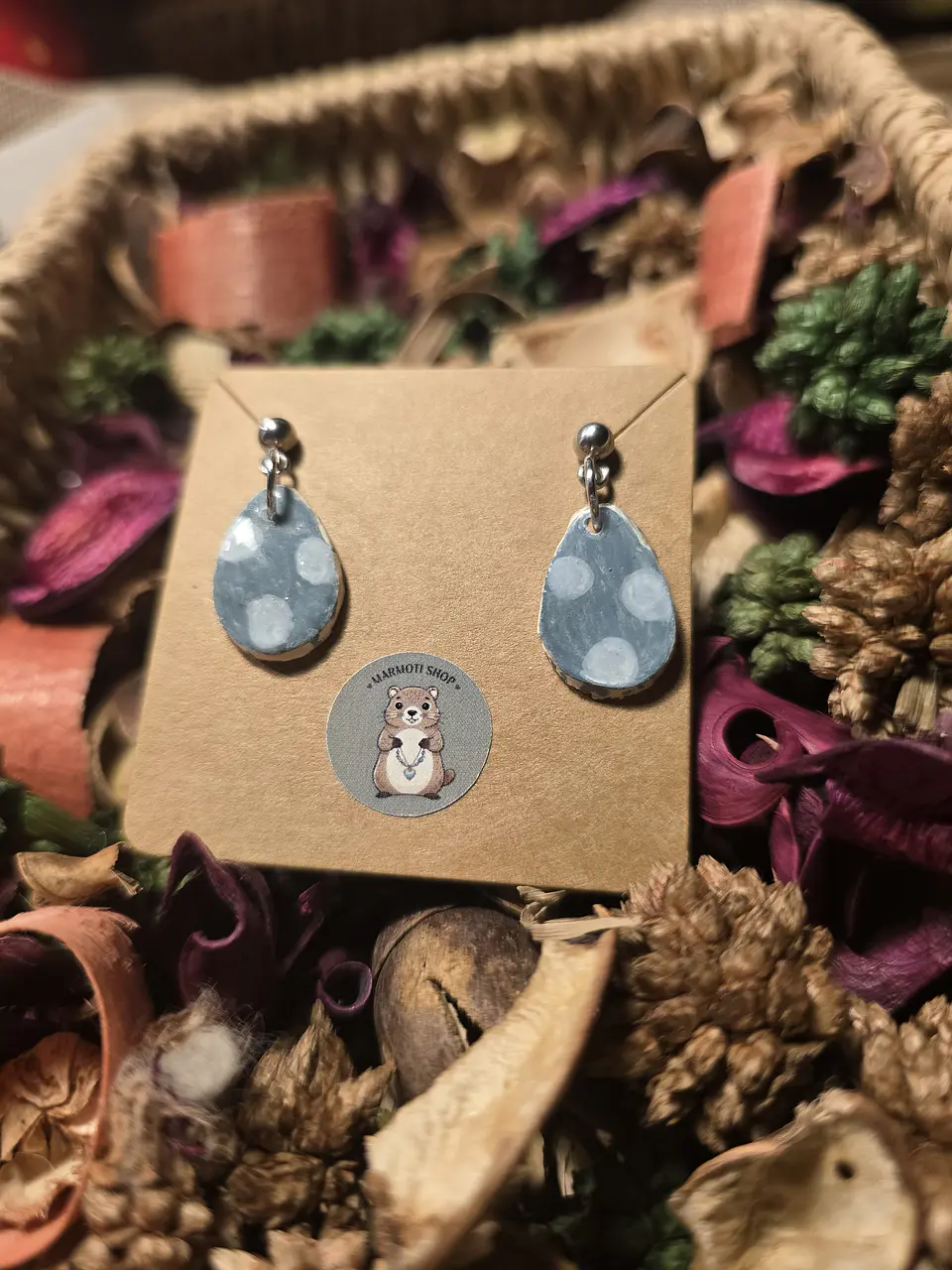 Pendientes Gota Punts 2