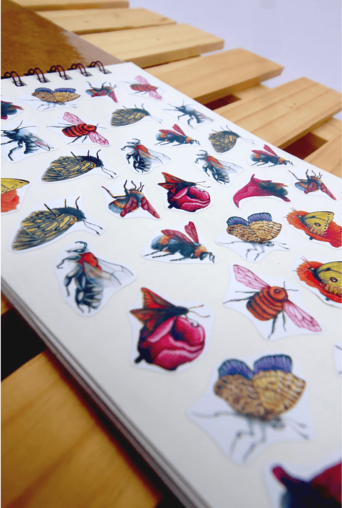 Planer Abierto: Aves de Chile