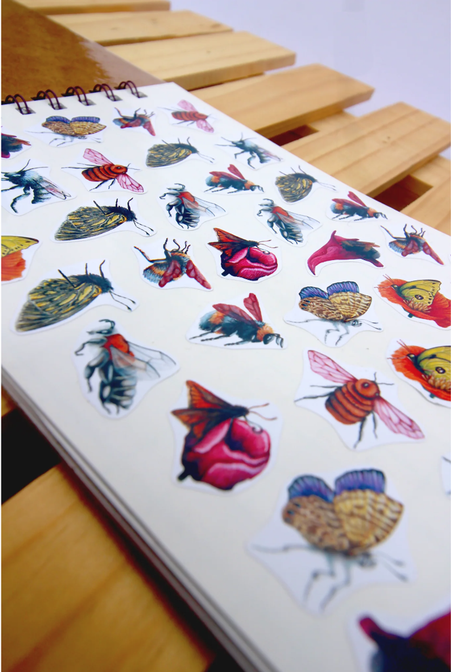 Planer Abierto: Aves de Chile 2