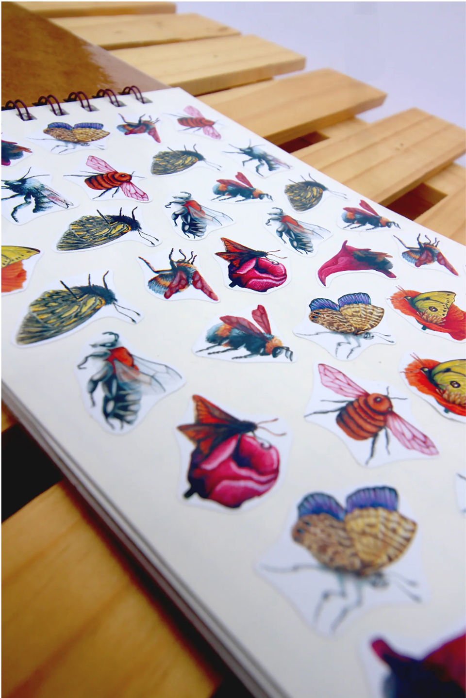 Planer Abierto: Aves de Chile 4