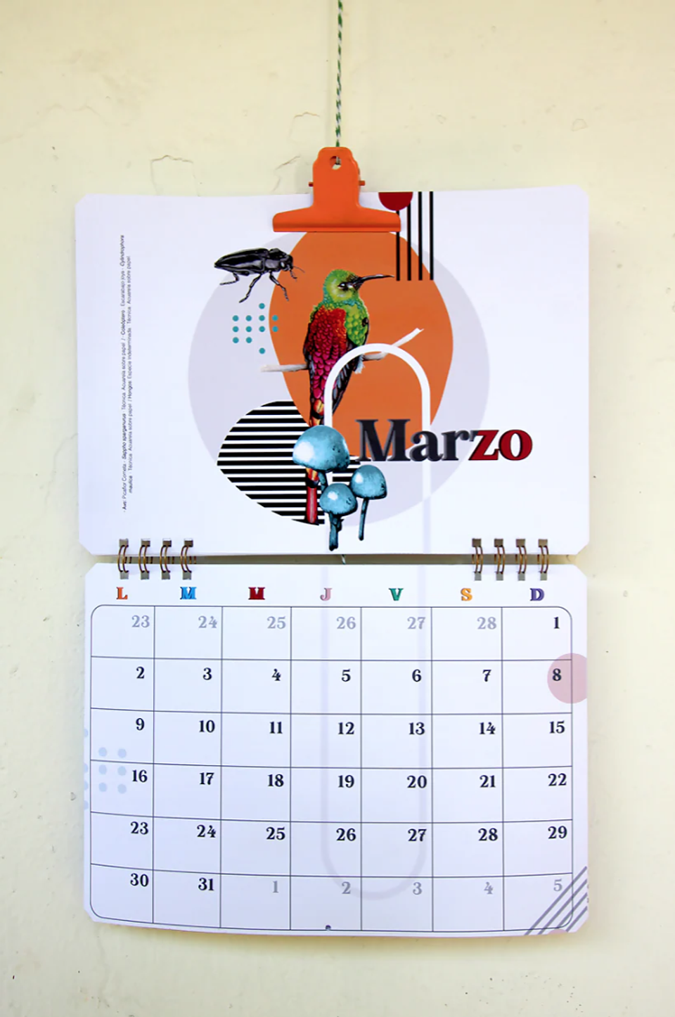 Calendario Muro 2026-2027 3