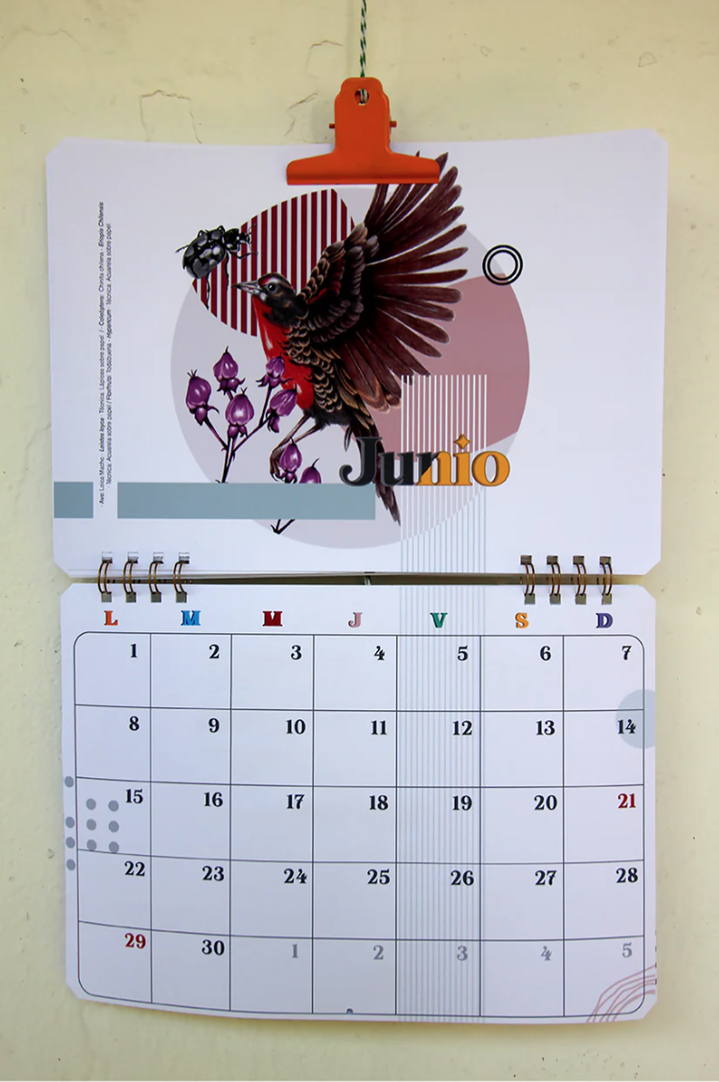 Calendario Muro 2026-2027 6