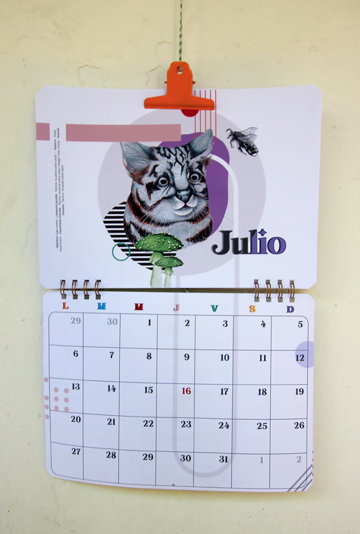 Calendario Muro 2026-2027 7