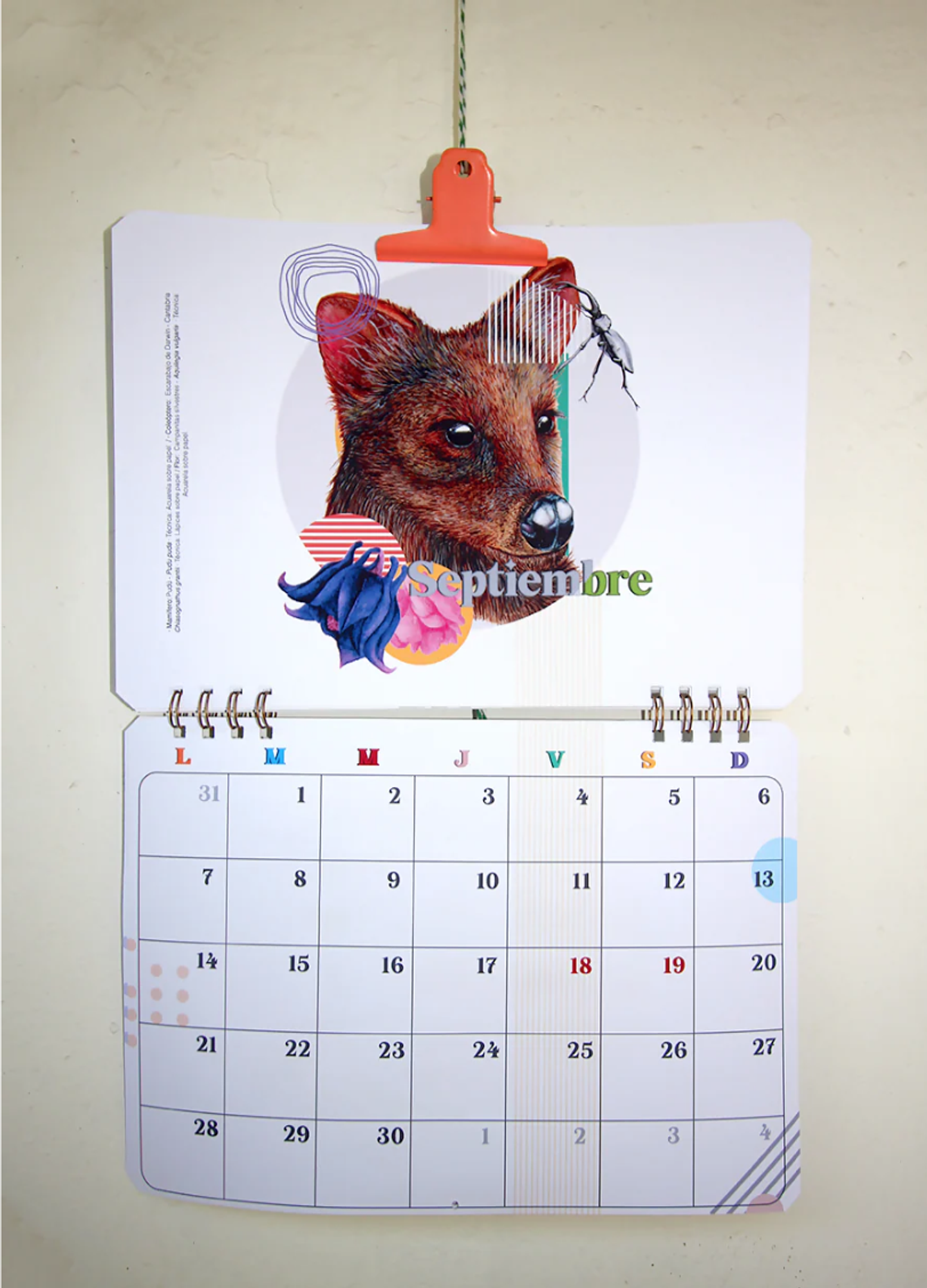 Calendario Muro 2026-2027 9