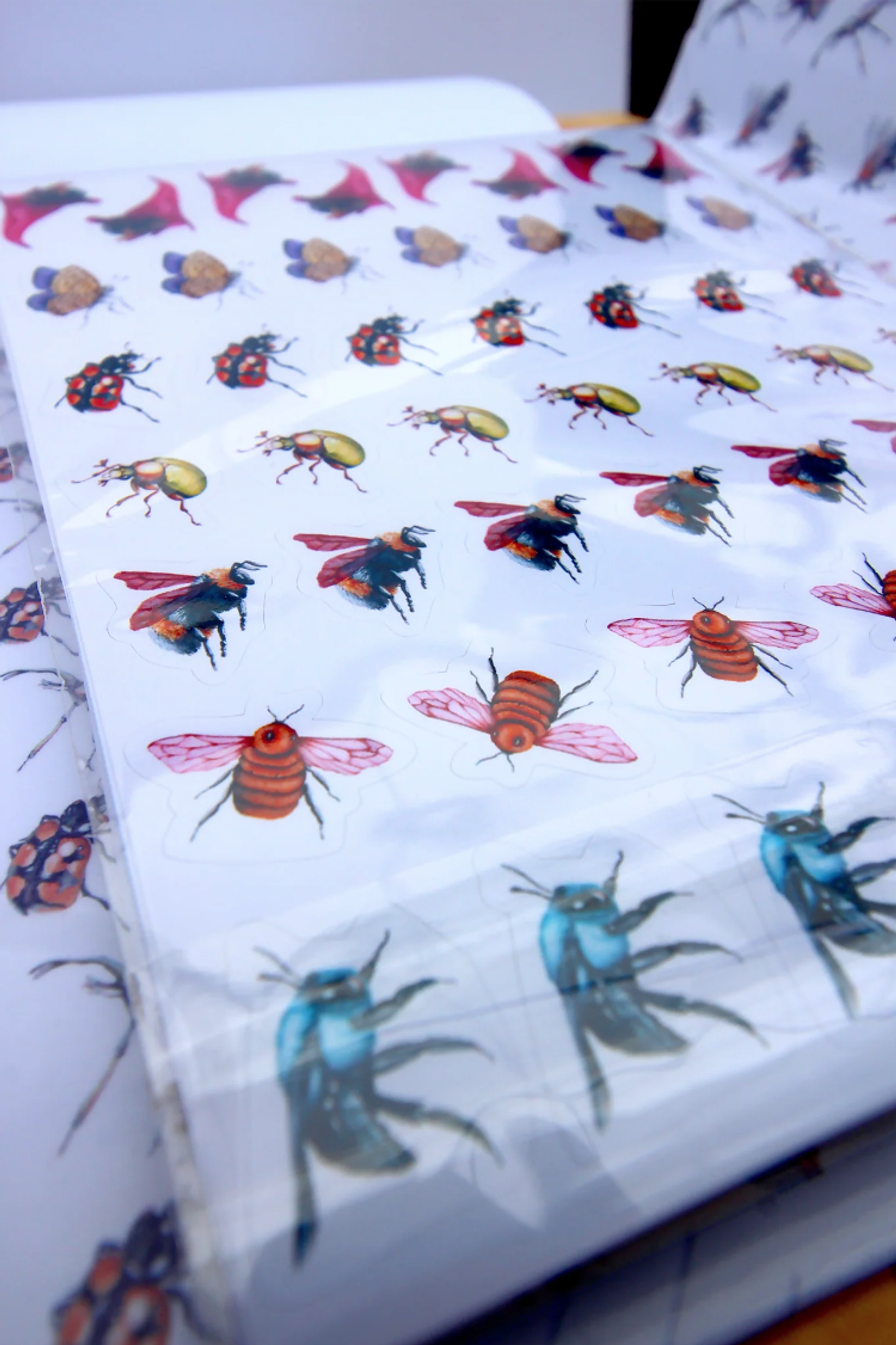 Carpeta Taco de Notas + Stickers 3