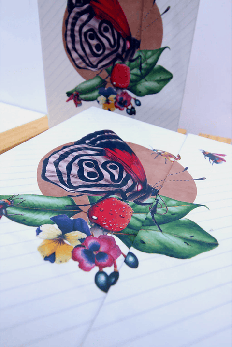 Carpeta Taco de Notas + Stickers