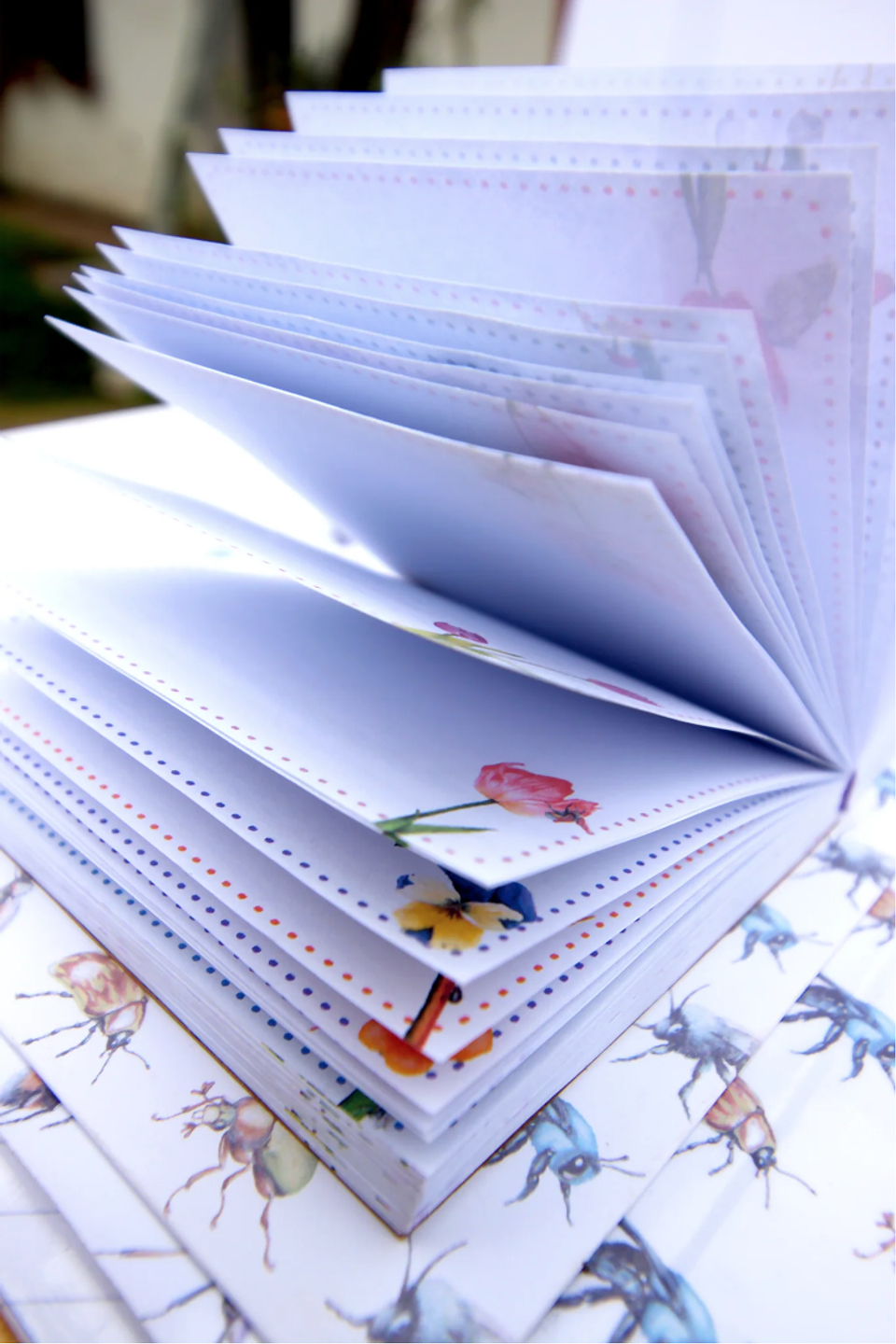 Carpeta Taco de Notas + Stickers 6