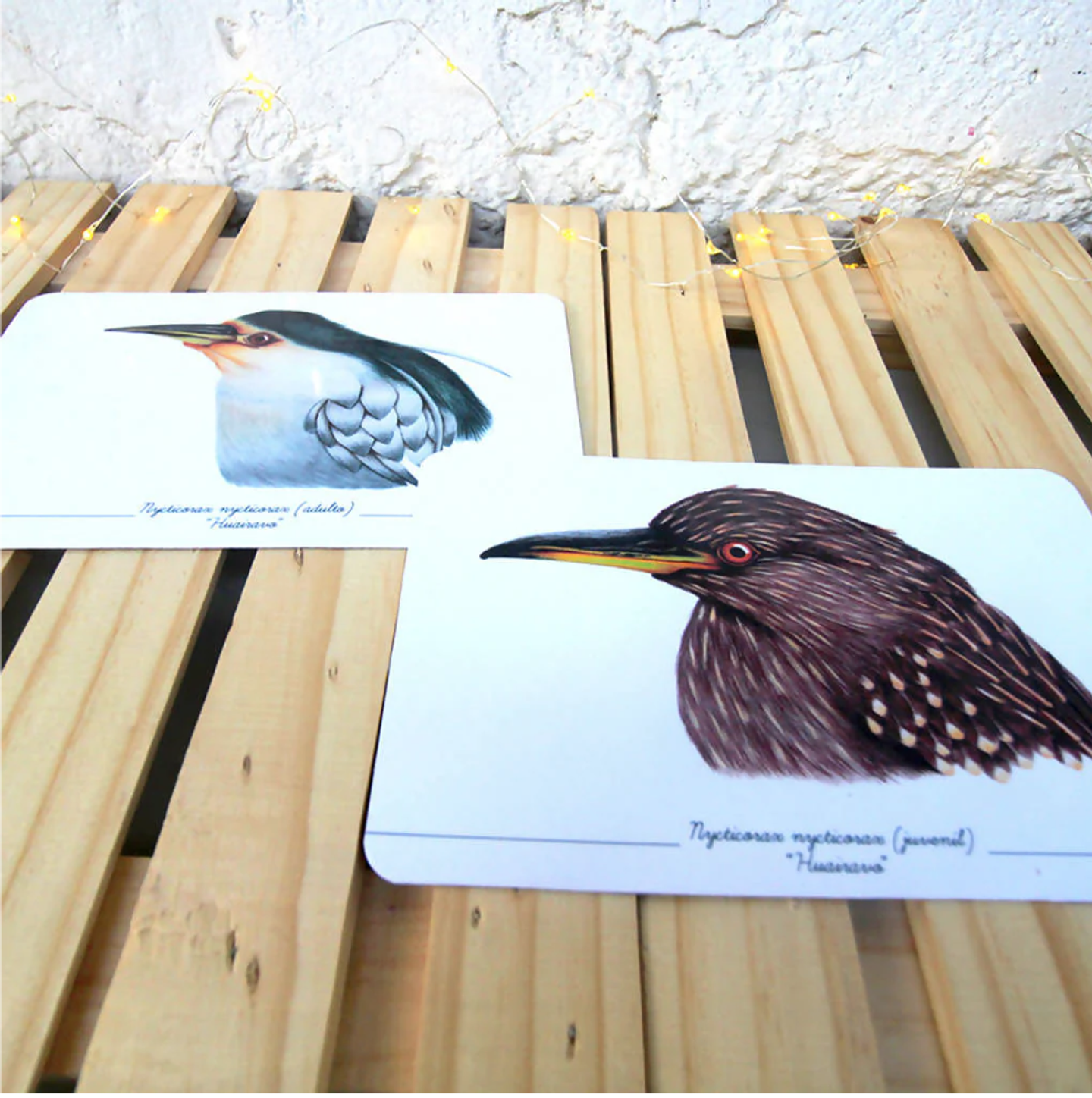 Colección Postales 4