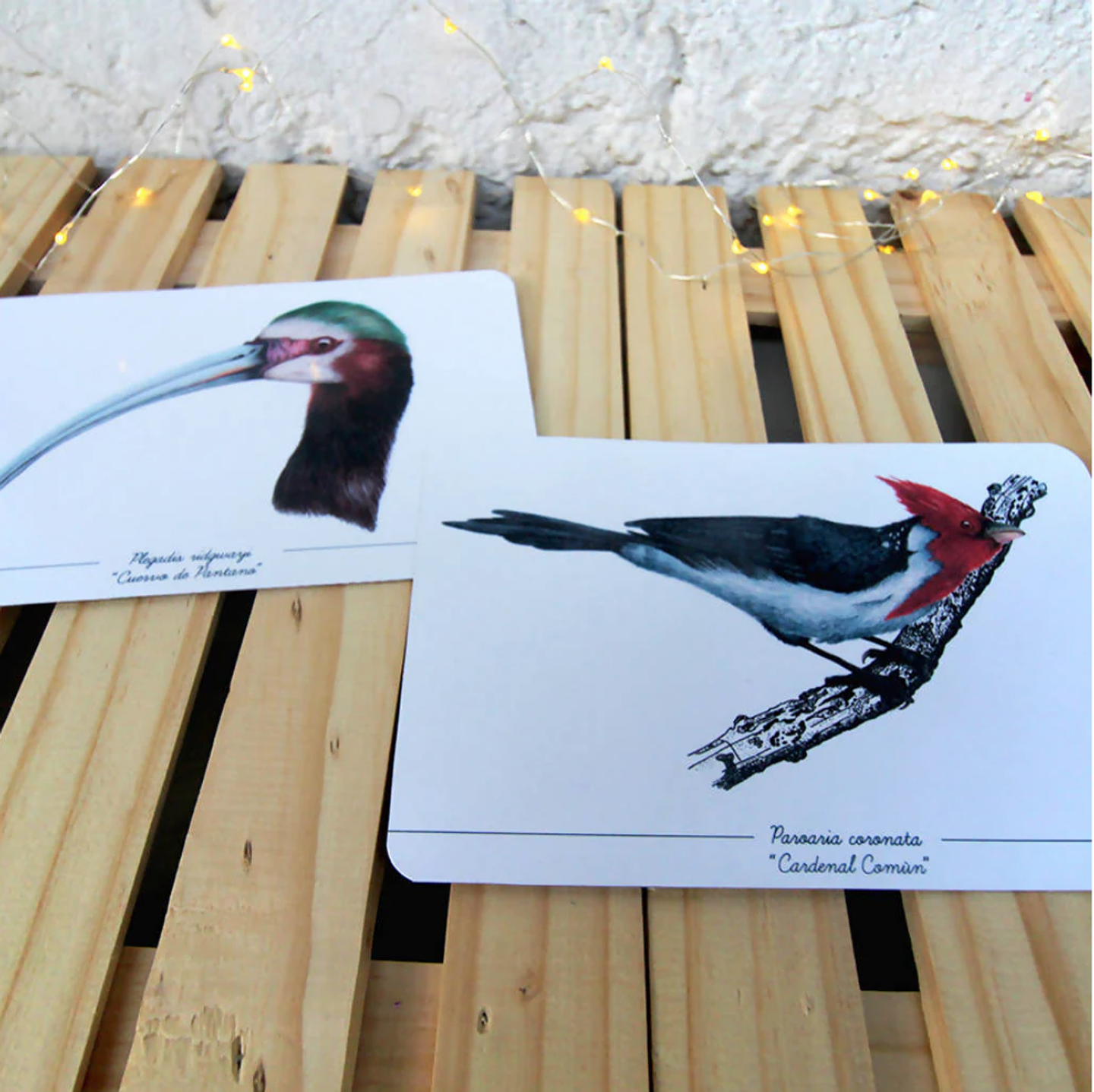 Colección Postales 6