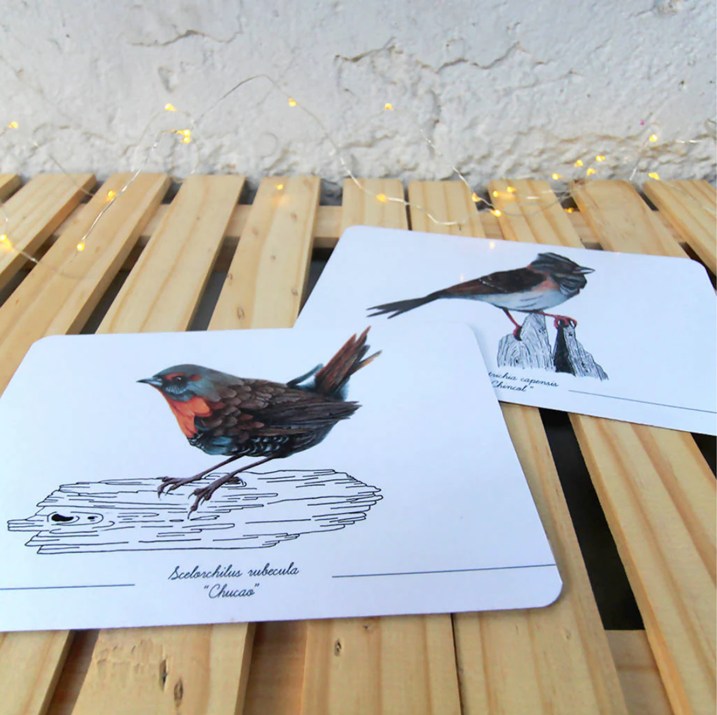 Colección Postales 7