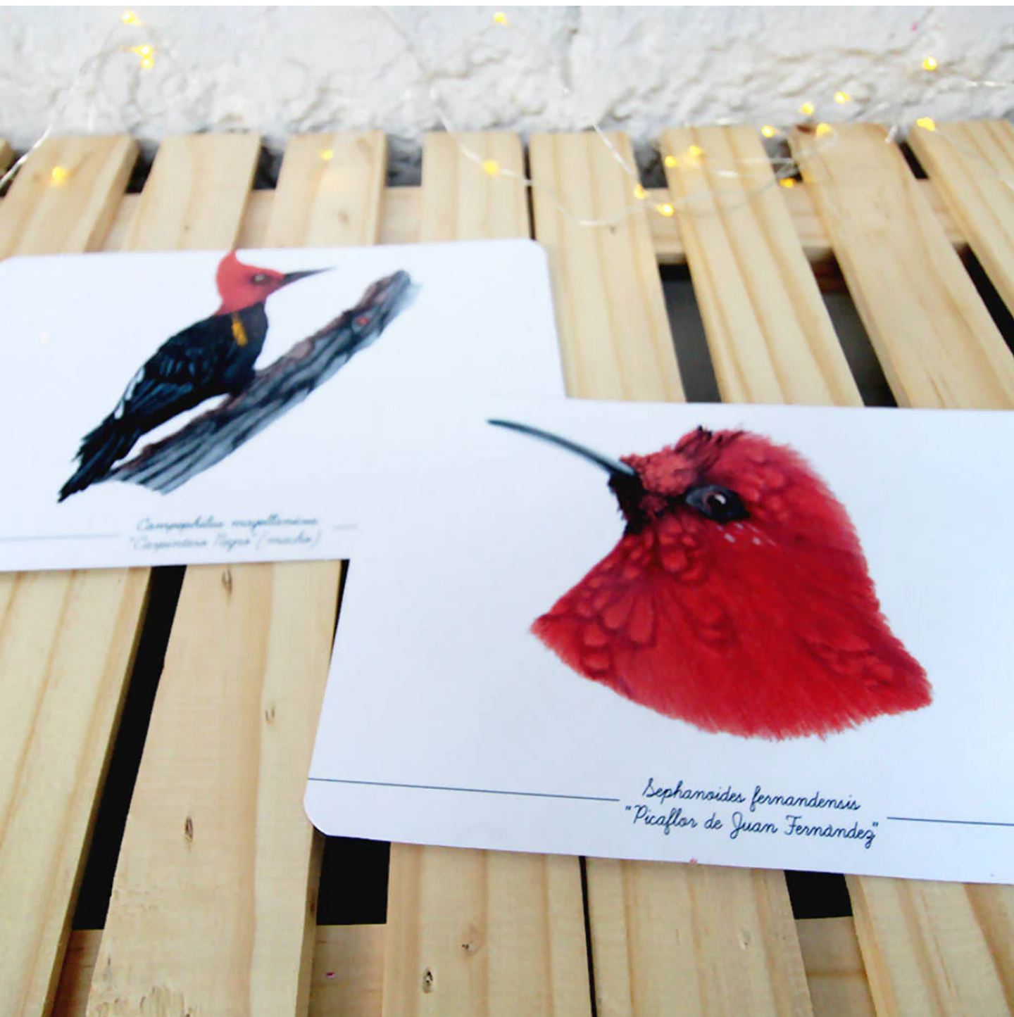 Colección Postales 8