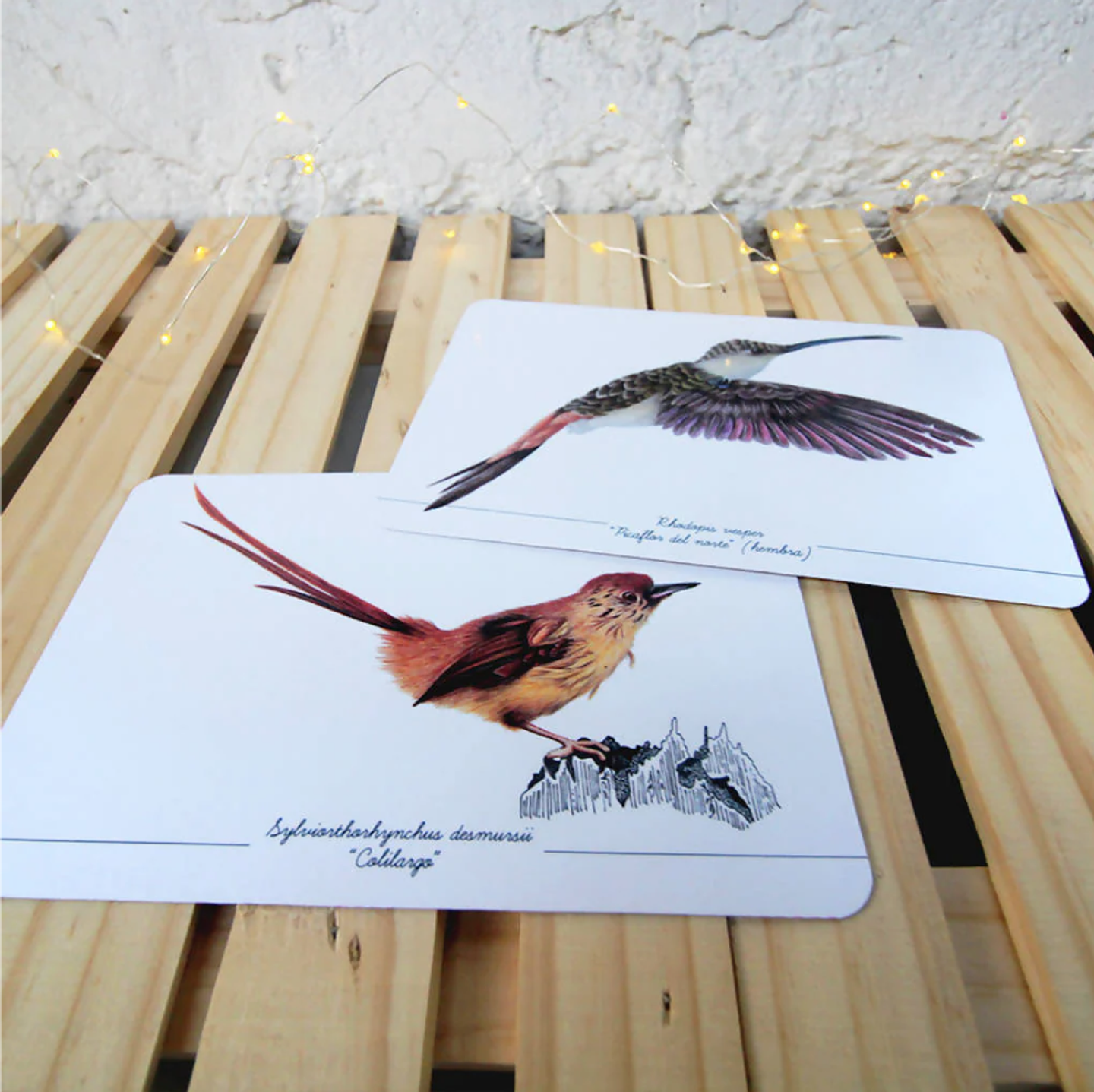 Colección Postales 9