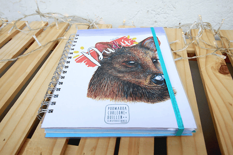 Cuaderno 150 páginas