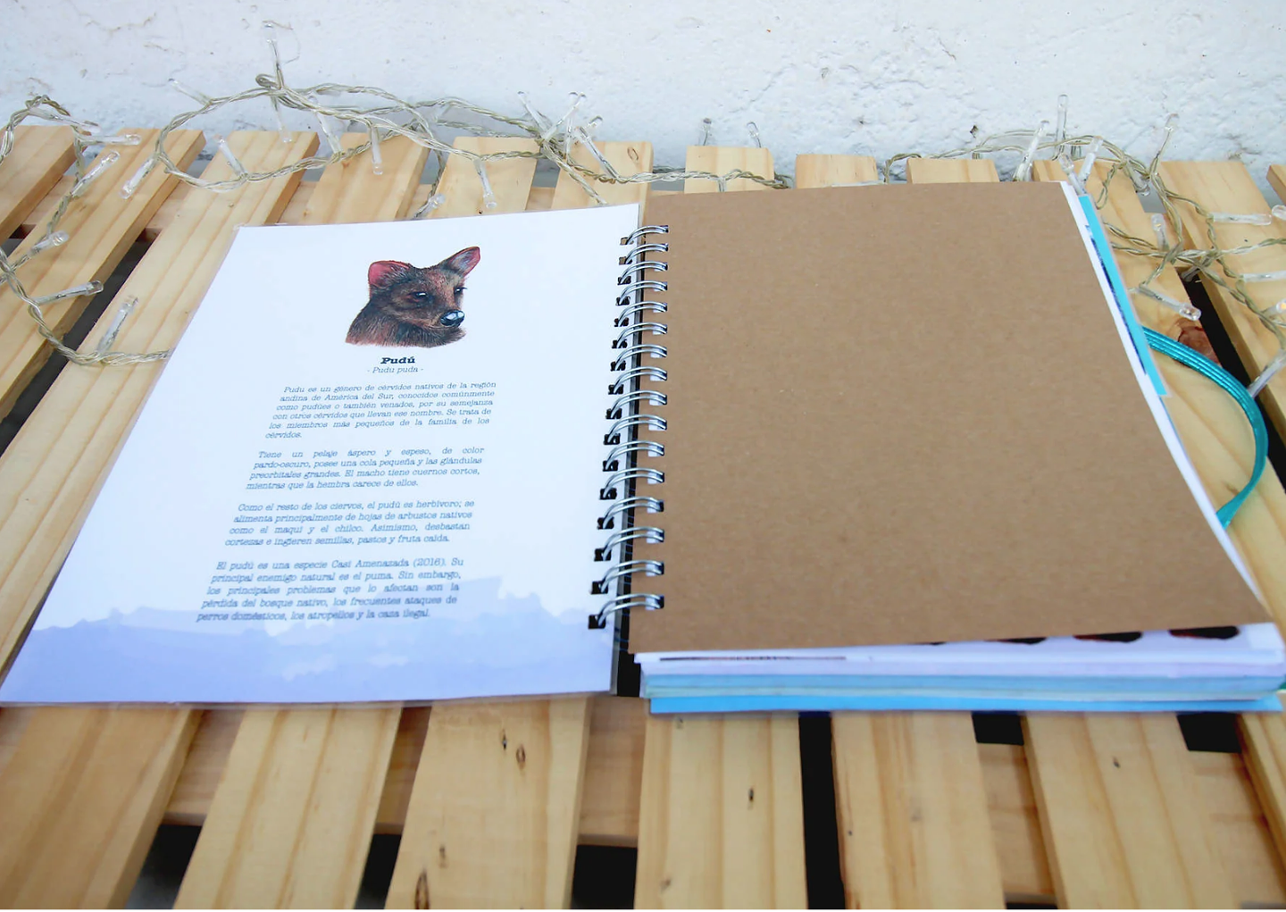 Cuaderno 150 páginas 15