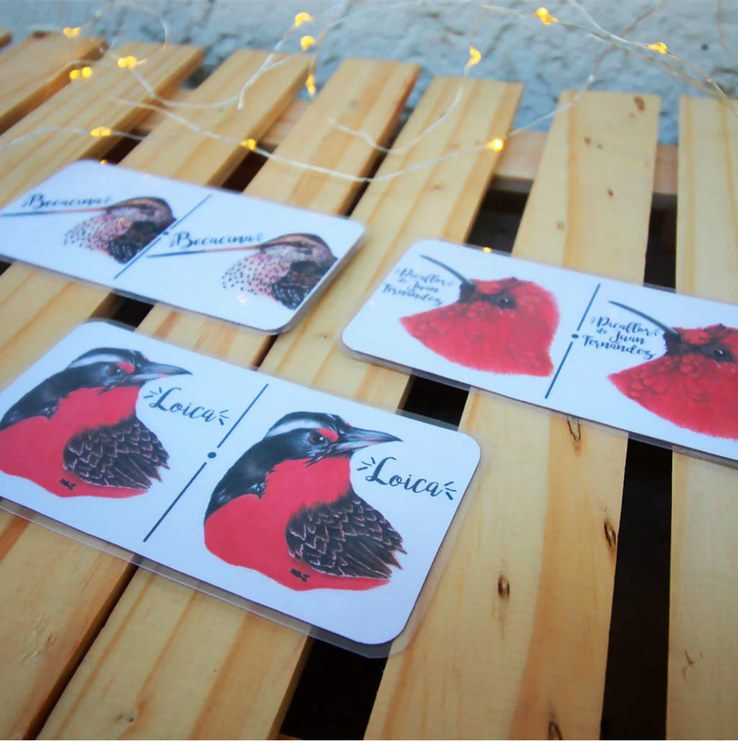 Juego Dominó: Aves de Chile 3