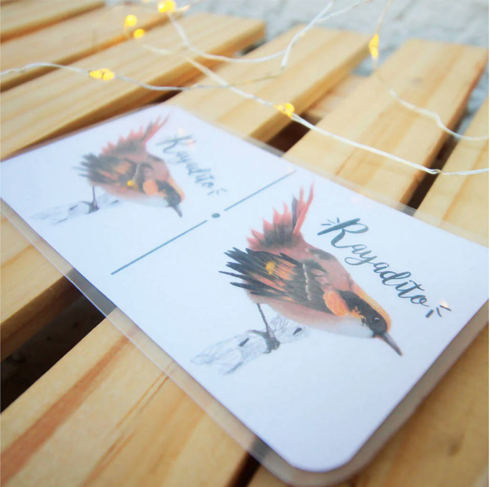 Juego Dominó: Aves de Chile 4