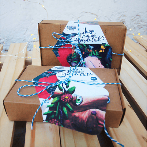 Juego Dominó: Aves de Chile