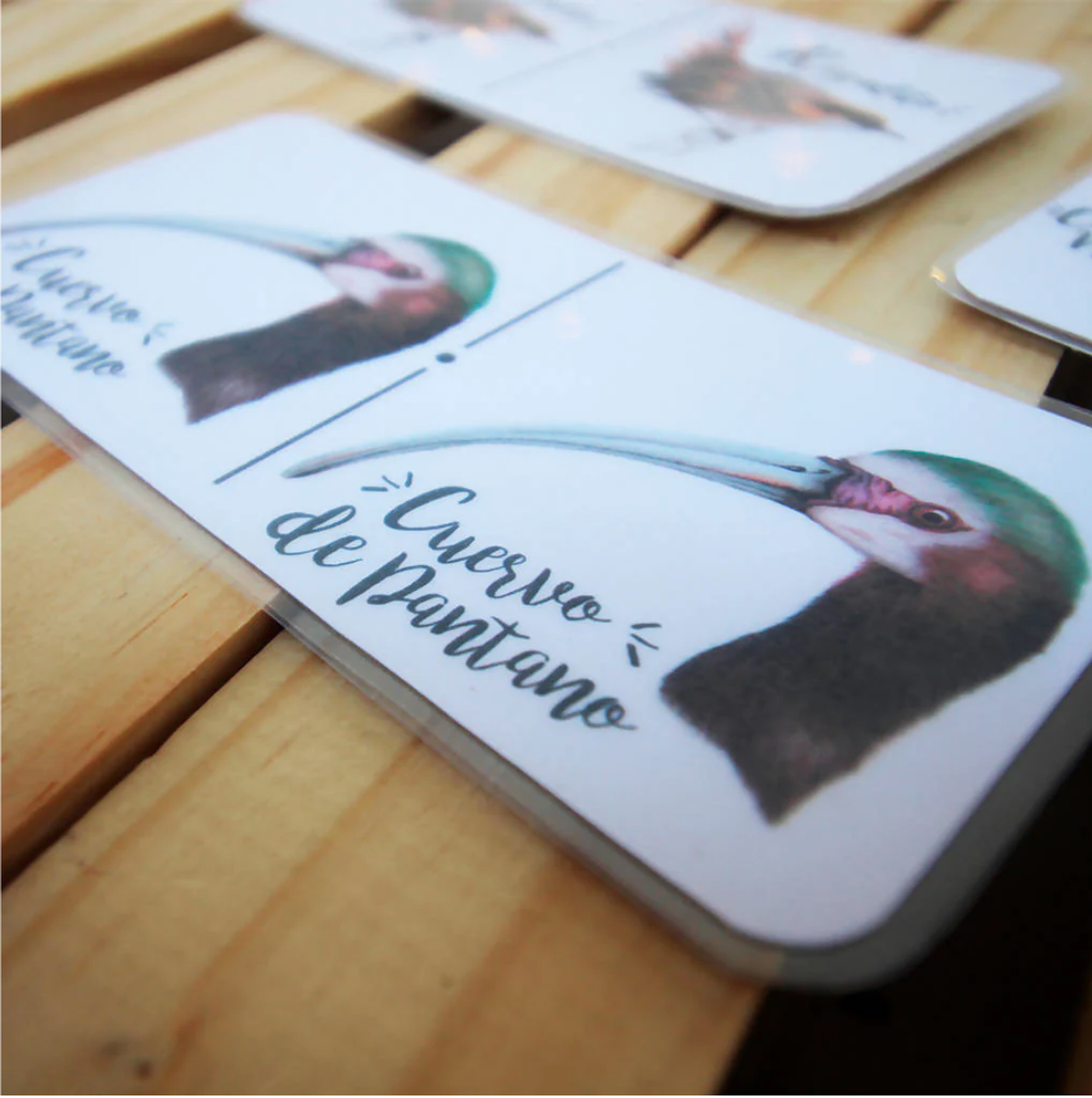 Juego Dominó: Aves de Chile 5