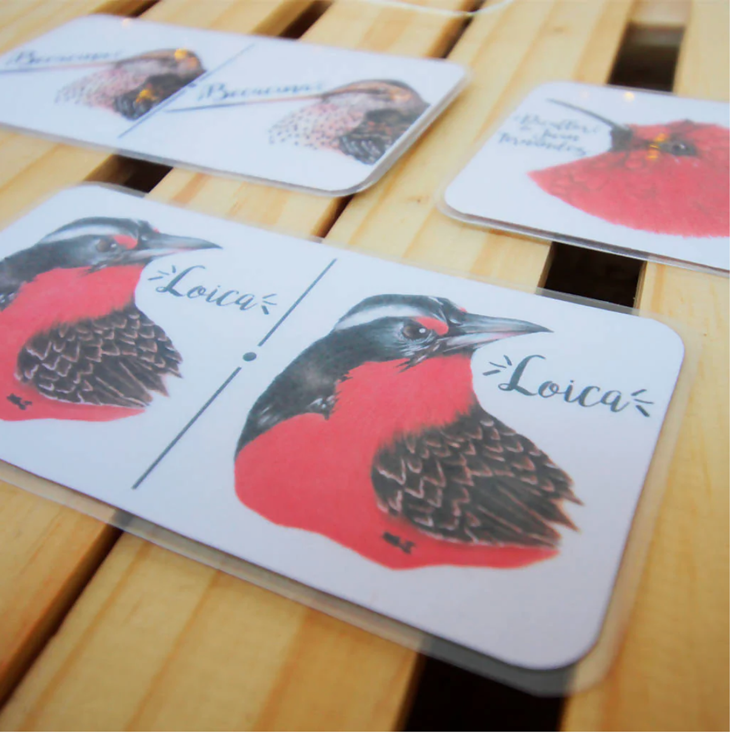 Juego Dominó: Aves de Chile 6