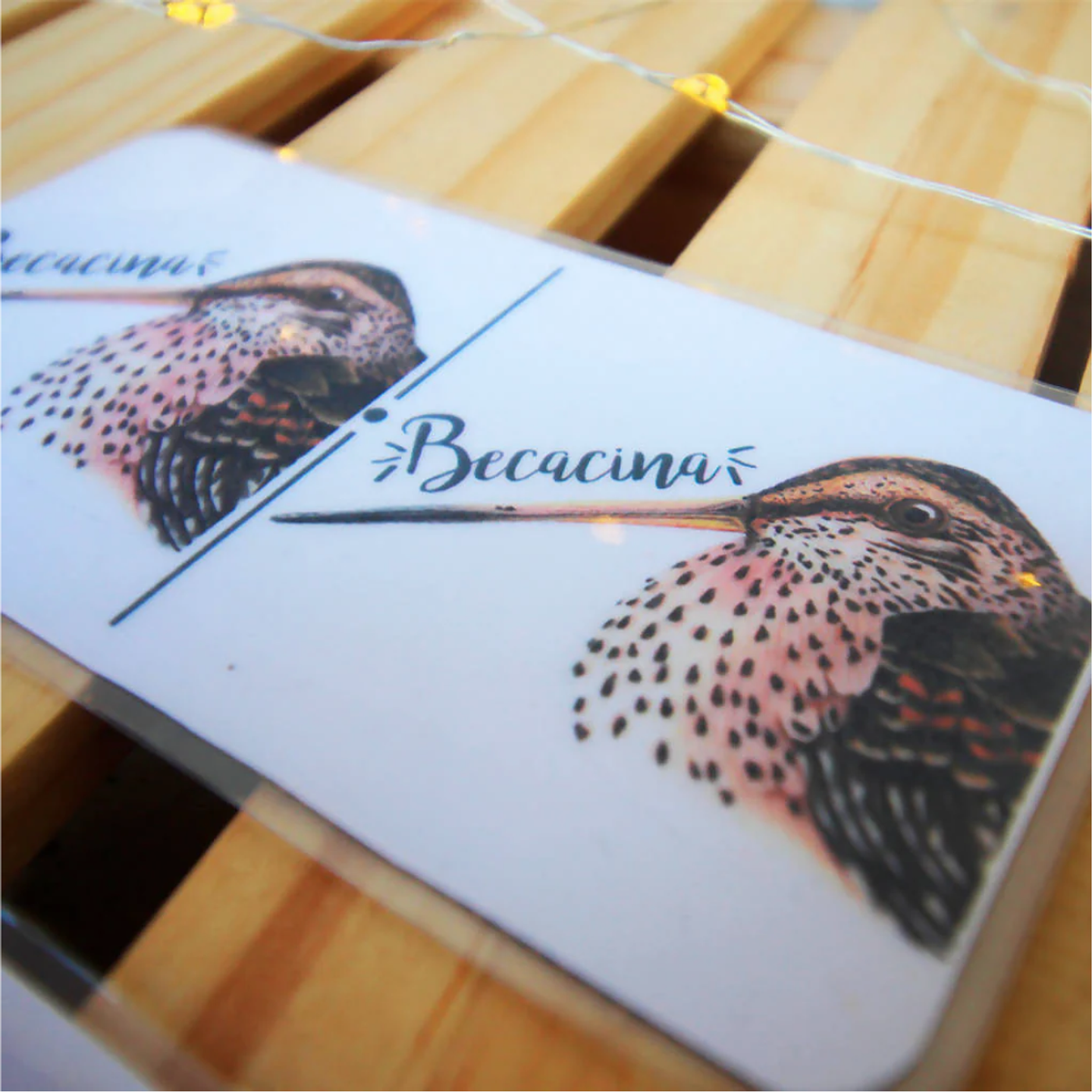 Juego Dominó: Aves de Chile 8