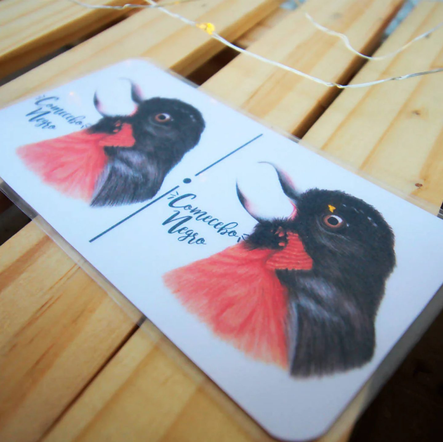 Juego Dominó: Aves de Chile 9